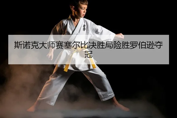 斯诺克大师赛塞尔比决胜局险胜罗伯逊夺冠